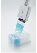 Eppendorf Research plus 0.5–10 µL, 12 Kanal Otomatik Pipet