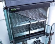 Buchi Pure C-835 Preparatif Kromatografi Sistemi
