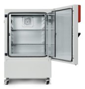 Binder KBF 240 İklimlendirme Kabini 247 Litre