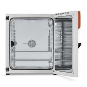 Binder BF 260 İnkübatör 257 Litre