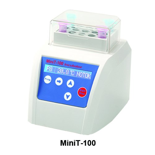 Isıtıcı Kuru Blok İnkübatör Allsheng MiniT-100