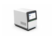 Allsheng Esan-Gene 496 Gerçek Zamanlı PCR